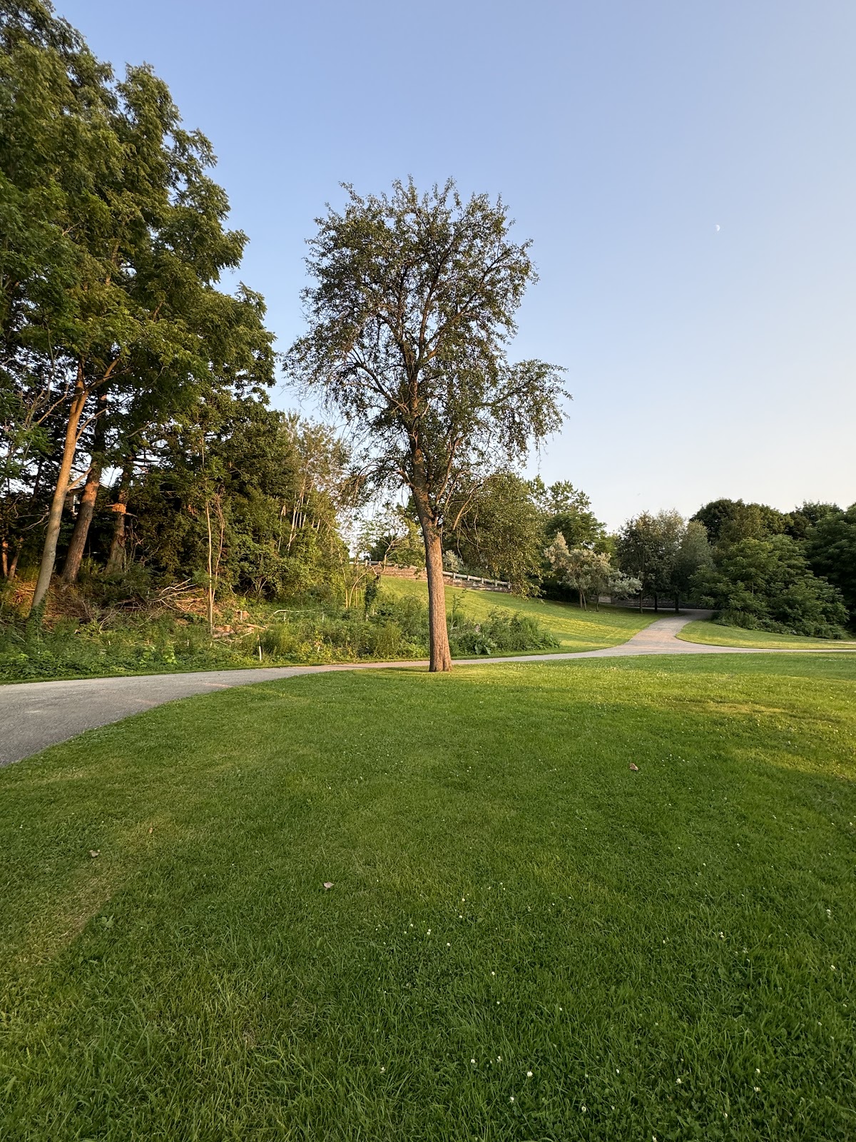 Albion Gardens Park — site photograph
