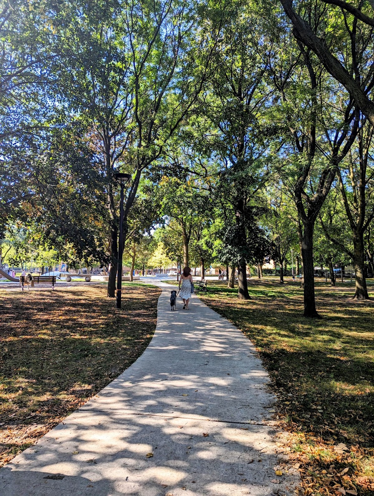 Art Eggleton Park — site photograph