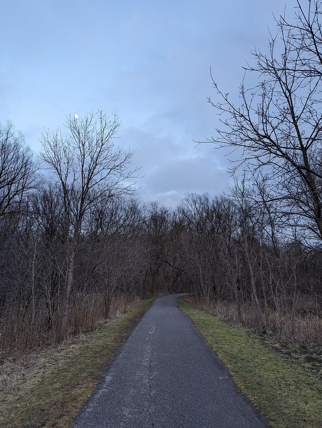 Betty Sutherland Trail Park, site photograph