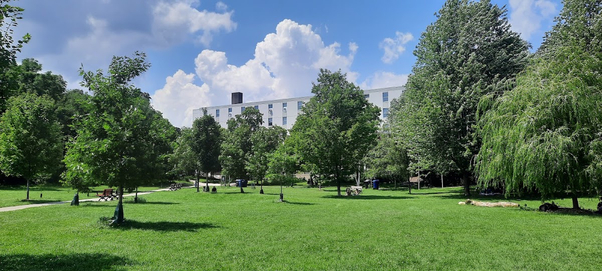 Bickford Park — site photograph
