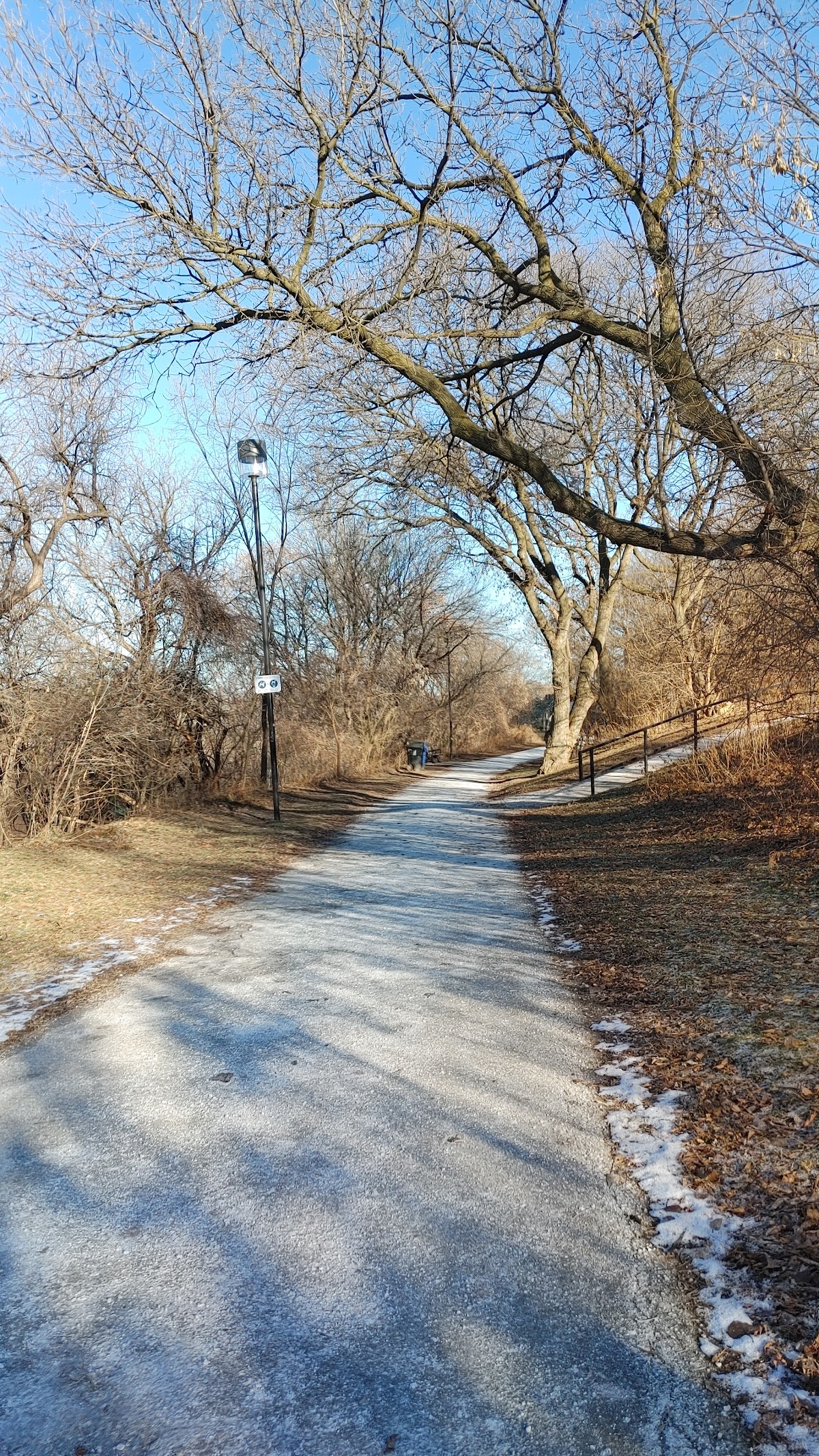 Gaffney Park — site photograph