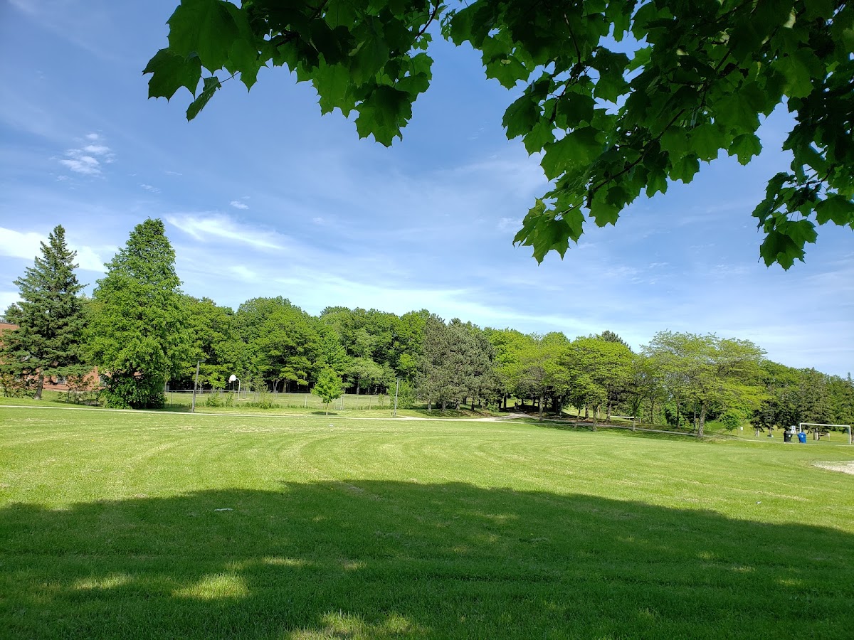 Murison Park — site photograph