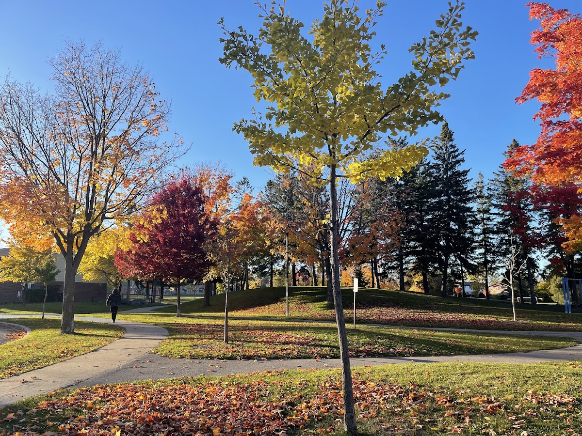 Horseley Hill Park — site photograph