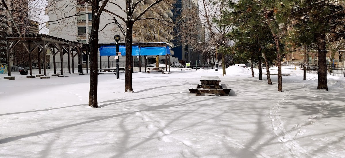 St. James Town West Park — site photograph