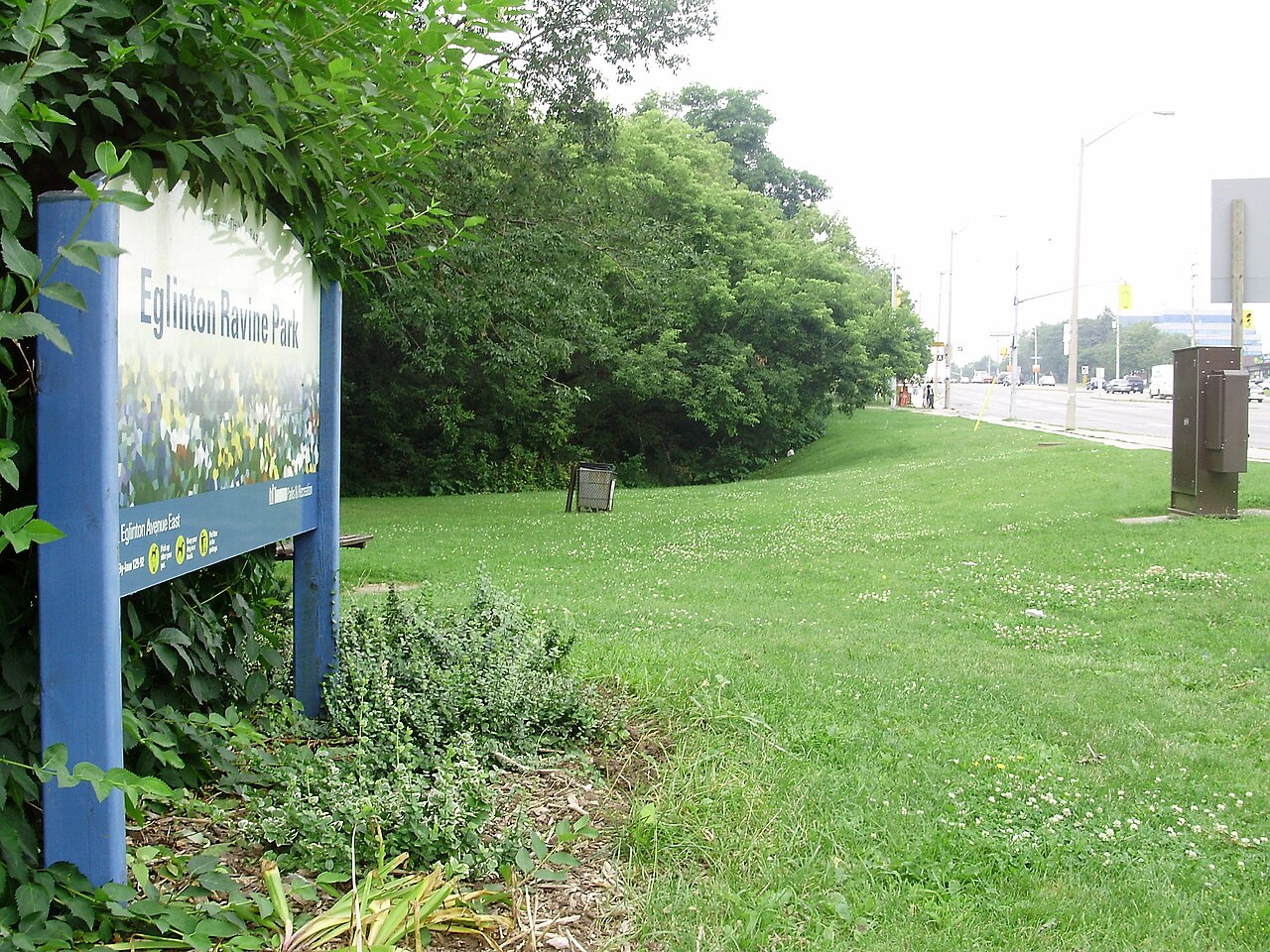 Eglinton Ravine Park, site photograph