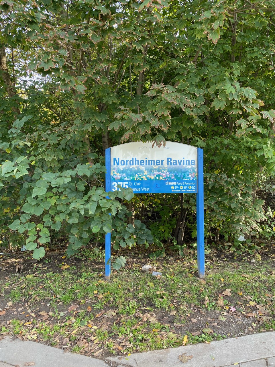 Nordheimer Ravine, site photograph