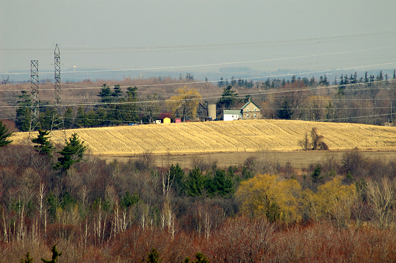 Rouge Park, site photograph